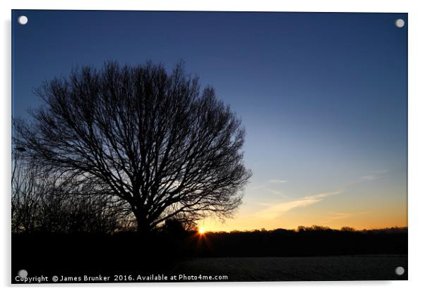 Winter Sunrise in the Weald of Kent Acrylic by James Brunker