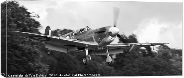 Landing Spitfire monochrome Canvas Print by Tom Dolezal