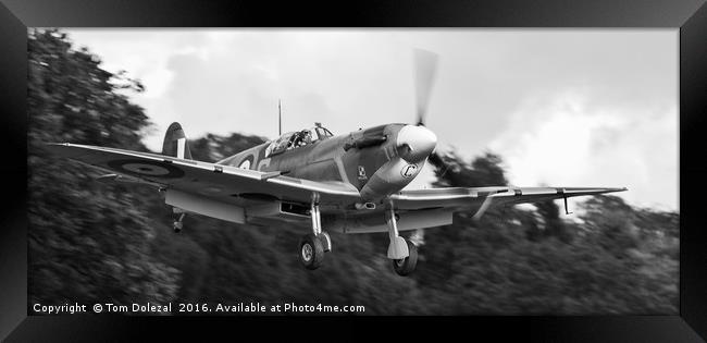 Landing Spitfire monochrome Framed Print by Tom Dolezal