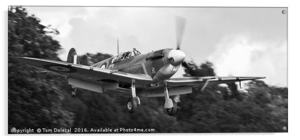 Landing Spitfire monochrome Acrylic by Tom Dolezal