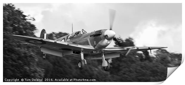 Landing Spitfire monochrome Print by Tom Dolezal