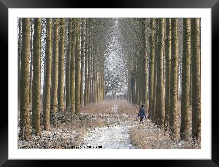 Poplars Framed Mounted Print by Will Black