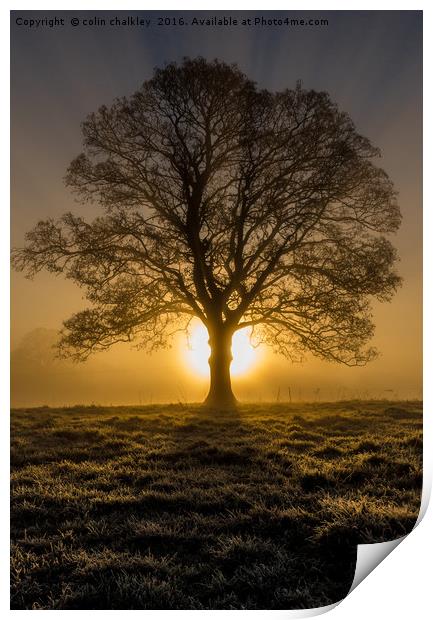 Misty sunrise in Marnhull, Dorset Print by colin chalkley