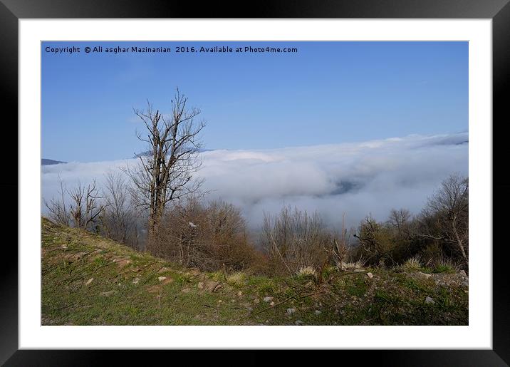 A nice view of fog in  in jungle , Framed Mounted Print by Ali asghar Mazinanian