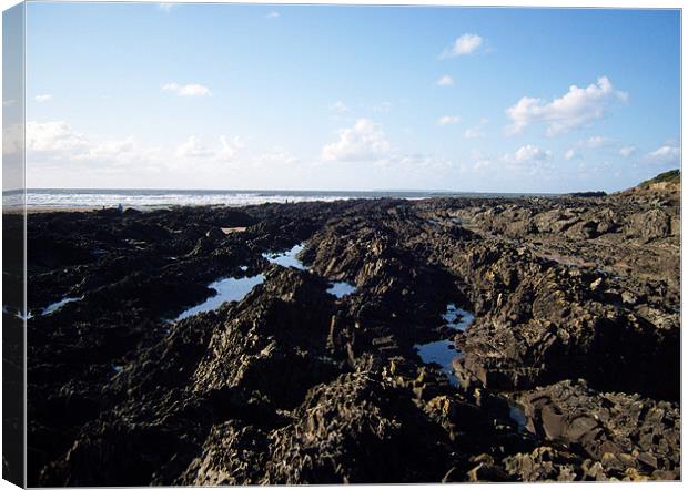 Rock Pools Canvas Print by Donna Collett