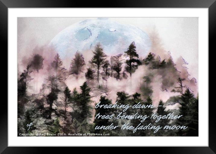 Dawn in the woods Framed Mounted Print by Paul Boazu