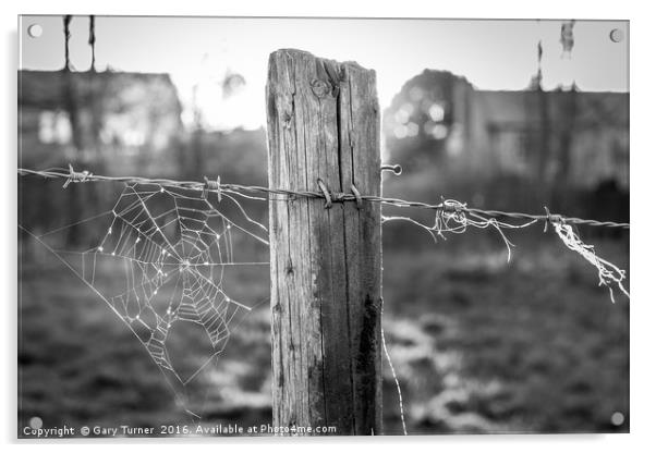 Sunset Spider Web Acrylic by Gary Turner