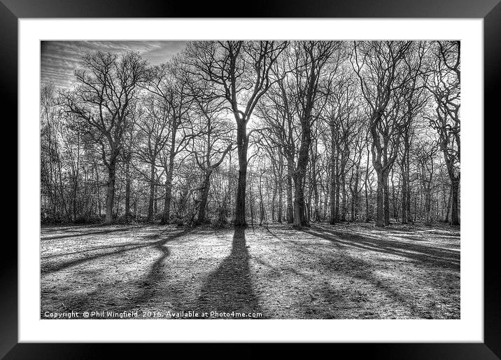 Belfairs Woods Framed Mounted Print by Phil Wingfield