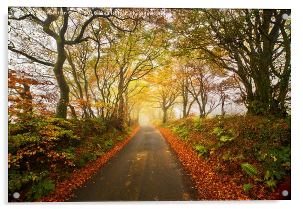 Autumnal devon lane Acrylic by Sebastien Coell