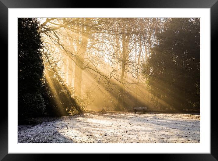 Rays of Light Framed Mounted Print by Ellie Rose