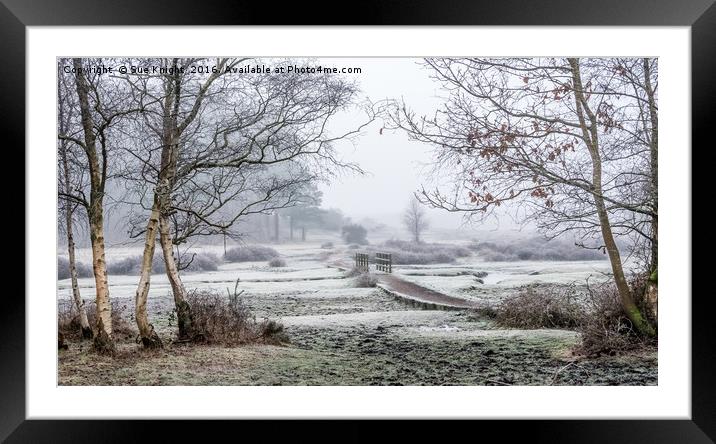A frosty New Forest morning  Framed Mounted Print by Sue Knight