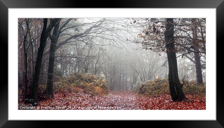 Into the Fog Framed Mounted Print by Svetlana Sewell