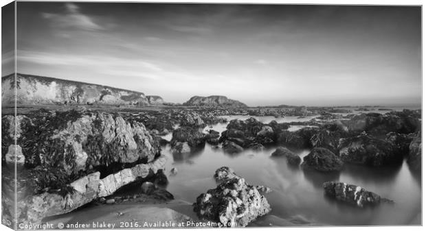 The end of Marsden Bay Canvas Print by andrew blakey