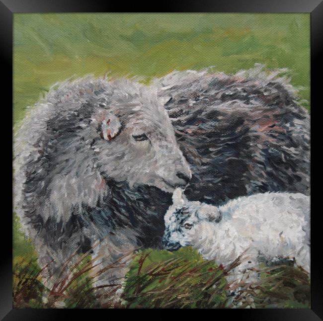 Herdwick Sheep and lamb Oil Painting Framed Print by Linda Lyon