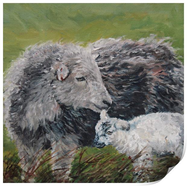 Herdwick Sheep and lamb Oil Painting Print by Linda Lyon