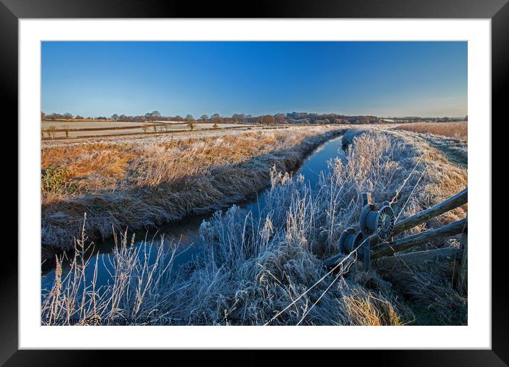 Frosted magic Framed Mounted Print by Stephen Prosser