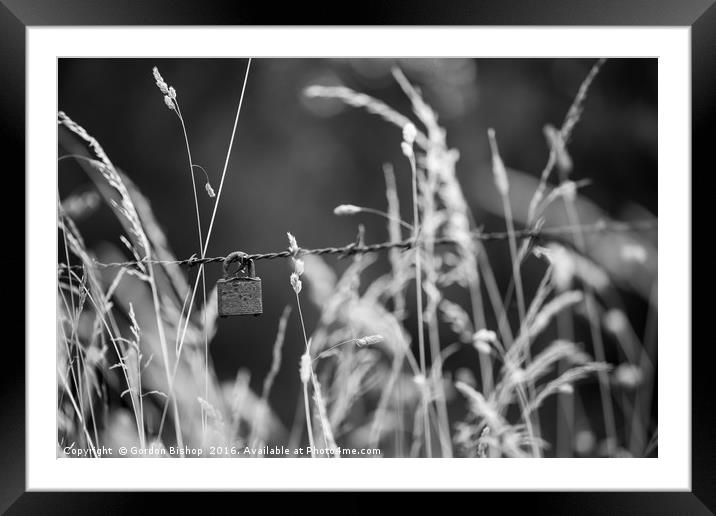 safeguard Framed Mounted Print by Gordon Bishop