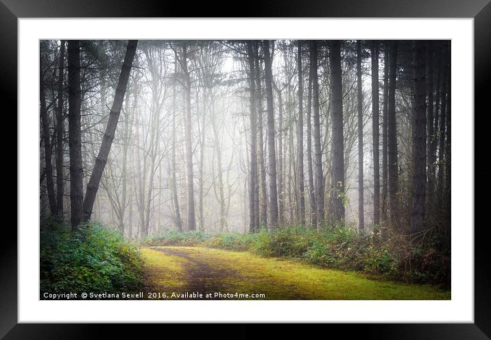 Mysterious Path Framed Mounted Print by Svetlana Sewell