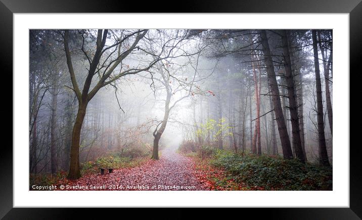 Forest Fog Framed Mounted Print by Svetlana Sewell