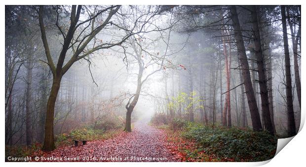 Forest Fog Print by Svetlana Sewell