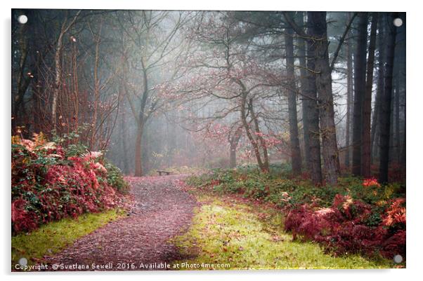 Hazy Path Acrylic by Svetlana Sewell