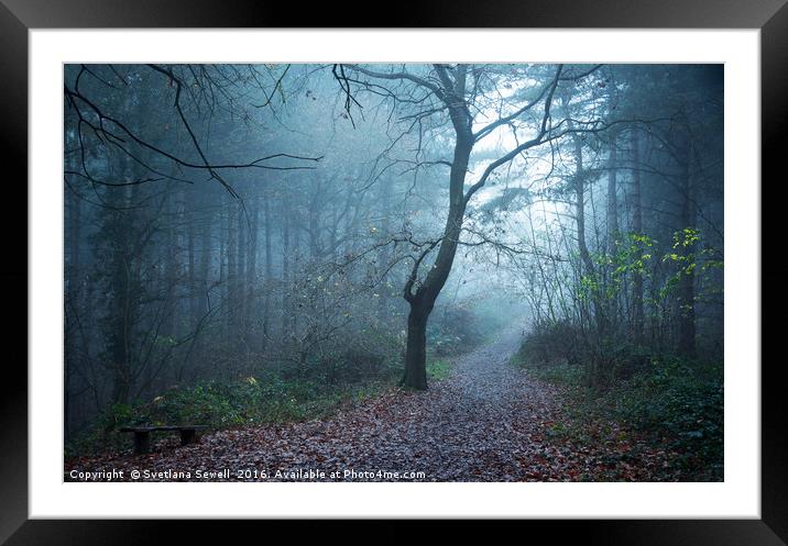 Blue Dream Framed Mounted Print by Svetlana Sewell