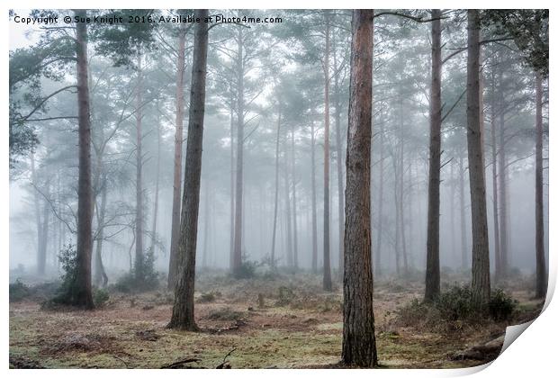 Trees in the mist Print by Sue Knight