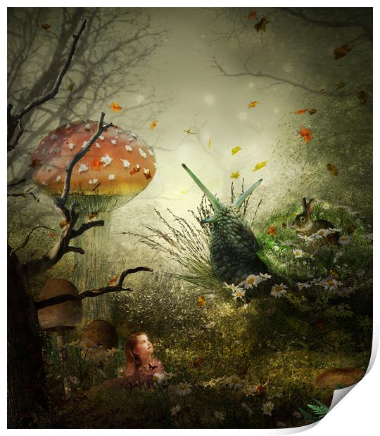 The Enchanted Forest Print by Kim Slater