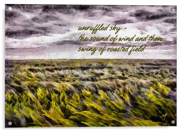 Fields swing  Acrylic by Paul Boazu