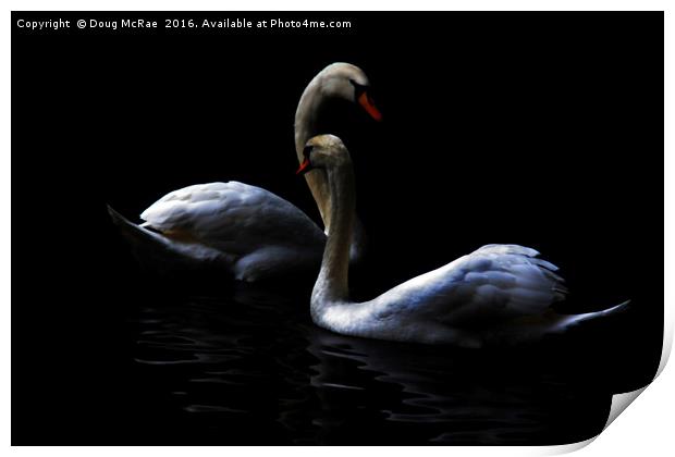 swans Print by Doug McRae