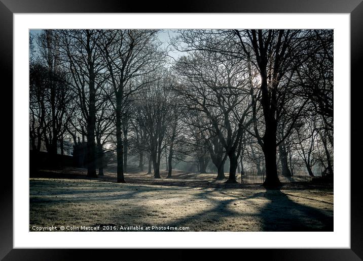Winter Sun Framed Mounted Print by Colin Metcalf
