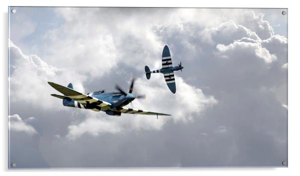The Blue Spitfires Acrylic by J Biggadike