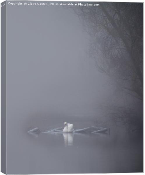 Swan in the fog Canvas Print by Claire Castelli
