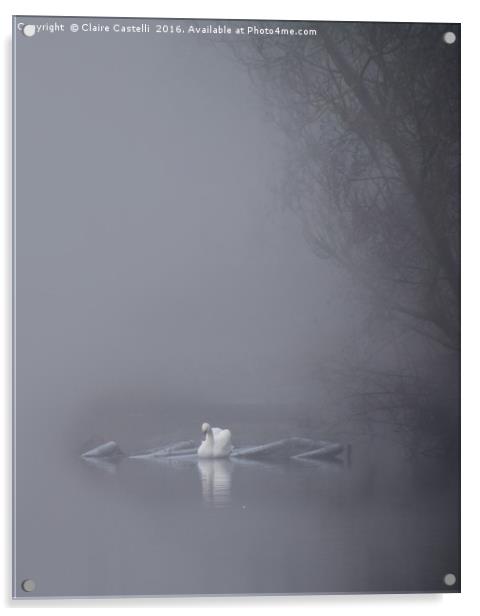 Swan in the fog Acrylic by Claire Castelli