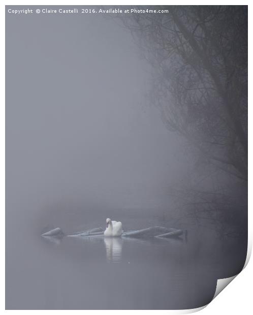 Swan in the fog Print by Claire Castelli