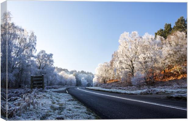 Winter on the Chase Canvas Print by Dan Kemsley
