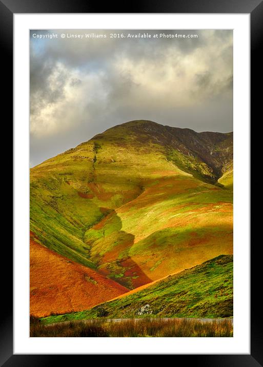 Whiteless Pike, Cumbria Framed Mounted Print by Linsey Williams