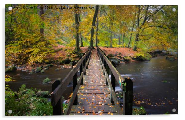 Bridge to the Fall Acrylic by John Ealing