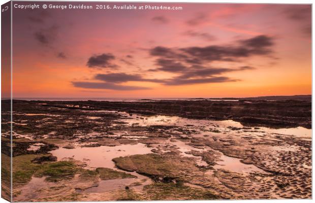Beadnell 04 Canvas Print by George Davidson
