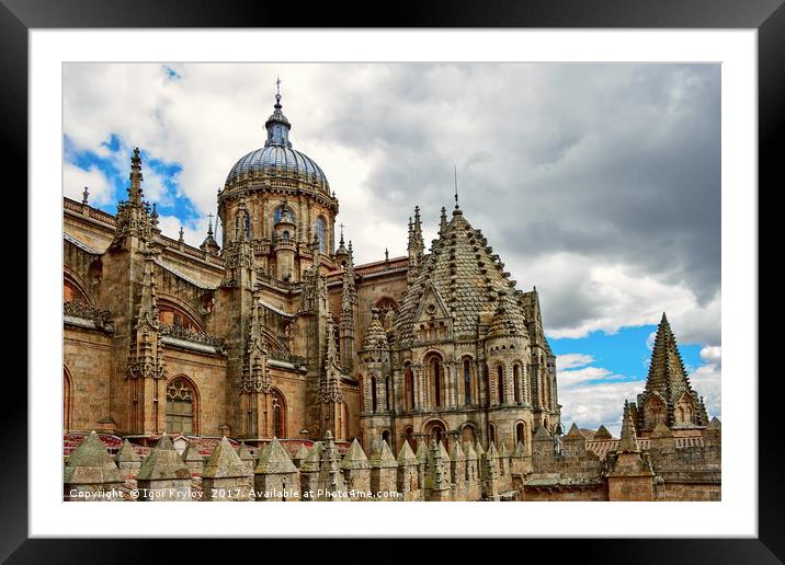  Cathedral of Salamanca Framed Mounted Print by Igor Krylov