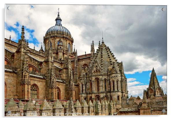  Cathedral of Salamanca Acrylic by Igor Krylov
