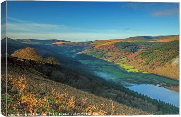Talybont Valley Central Brecon Beacons Wales Canvas Print by Nick Jenkins