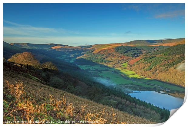 Talybont Valley Central Brecon Beacons Wales Print by Nick Jenkins