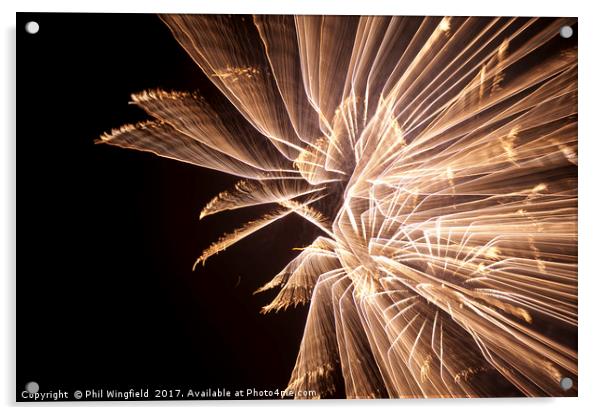 Firework long exposure Acrylic by Phil Wingfield