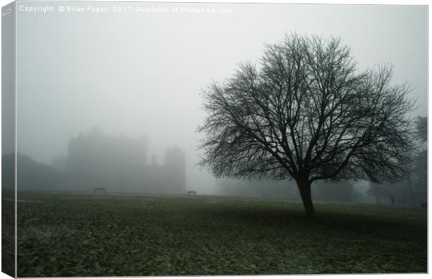 Foggy Wollaton Hall in the winter Canvas Print by Brian Fagan