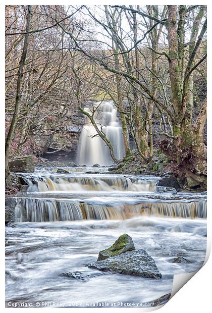 Summerhill Force, Teesdale Print by Phil Reay