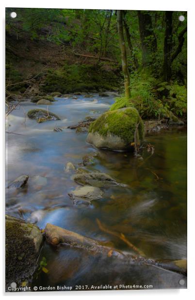 Lakeland stream Acrylic by Gordon Bishop