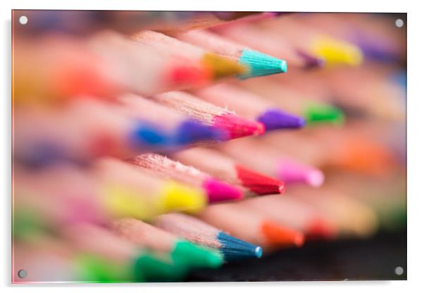 assorted coloured pencils. Acrylic by Bryn Morgan