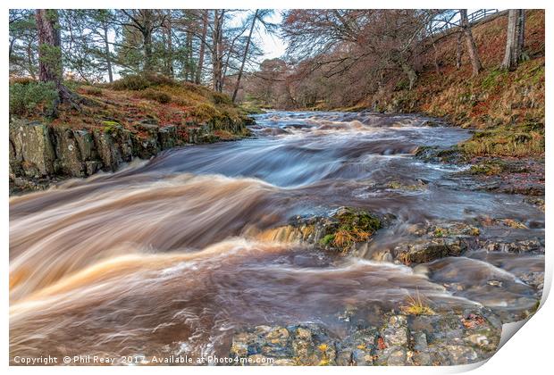 Low Force, Teesdale.  Print by Phil Reay