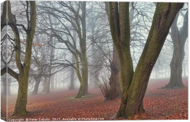 A Foggy Day in Sherwood Canvas Print by Peter Zabulis